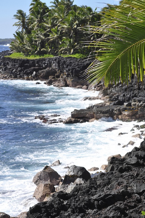CRUCEROS HAWAI ISLAS DEL PACIFICO HAWAII HILO BIG ISLAND CRUISES VIAJES NOVIOS HAWAII LUNA DE MIEL EN HAWAII